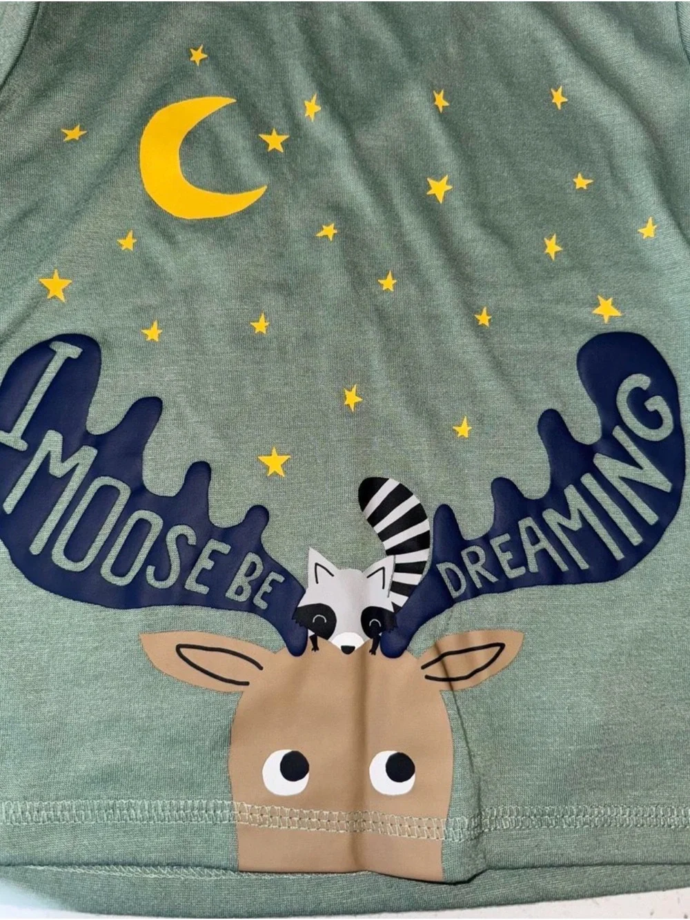 Kids Green Moose Dreaming Pajama Set